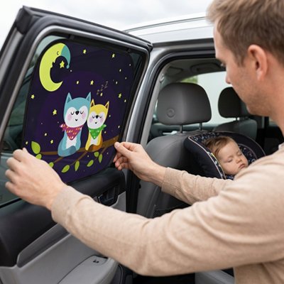 Papa place  sur vitre de voiture pare soleil voiture bébé chat